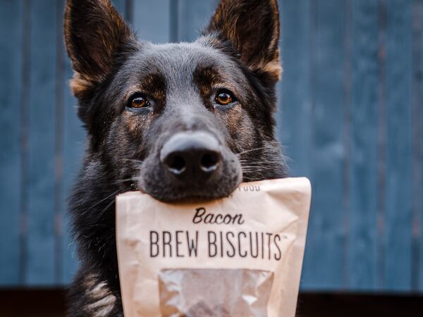 Brew Biscuits Upcycles Spent Grain—a Byproduct of the Craft Brewing Industry
