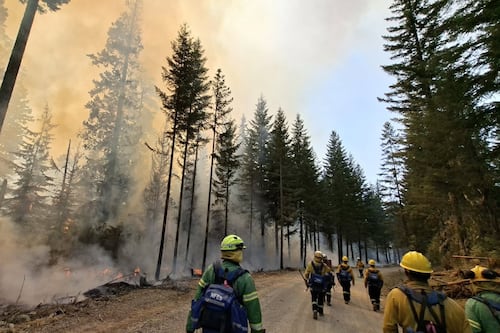Did the Grasshopper Fire Have to Be So Bad?