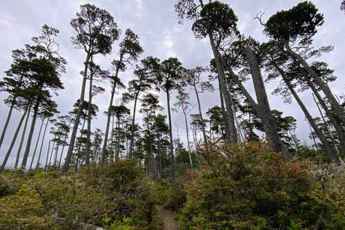 Hike of the Month: Whalen Island Loop