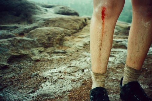 Portland State University Alumni Win Arlene Schnitzer Visual Arts Prize