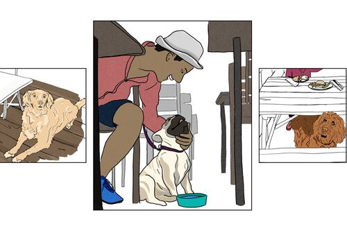 Places to Get a Casual Bite, Sweet or Savory, With Your Pup