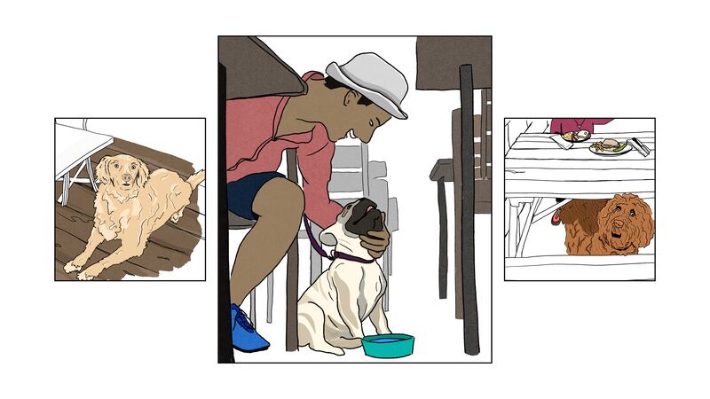 Places to Get a Casual Bite, Sweet or Savory, With Your Pup