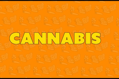 2025 Best of Portland Readers’ Poll: Cannabis