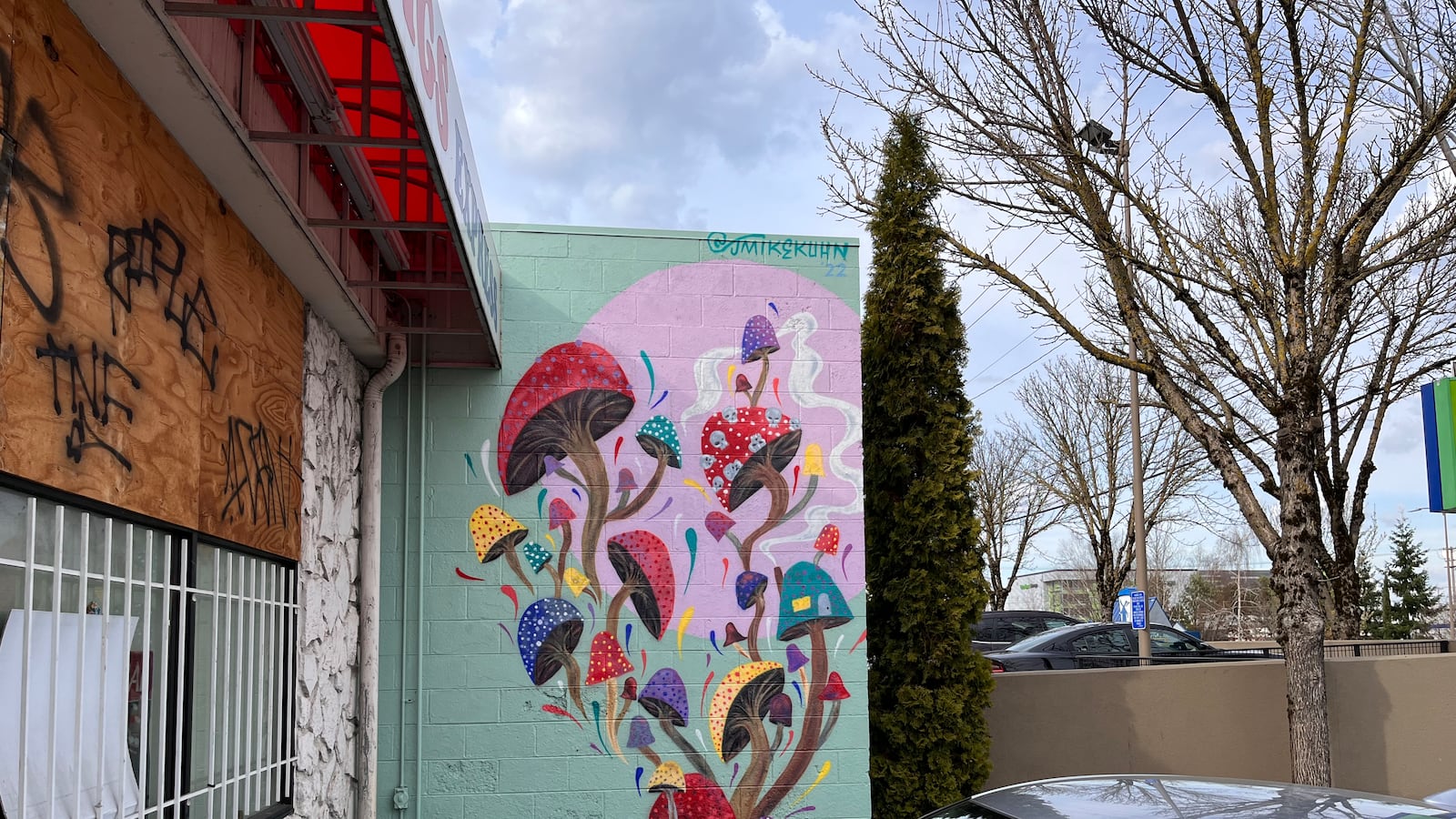 Synaptic Training Institute Won’t Open Psilocybin Service Center ...