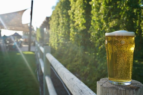 Steal My Vacation: Celebrate the Hop Harvest in Yakima, Wash.