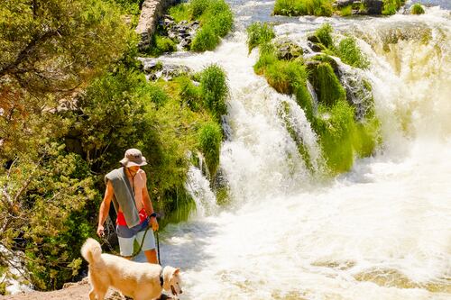 The Second Edition of Willamette Week’s Oregon Summer Hits Stands This Week