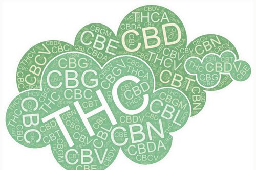 Can’t Tell CBN From CBG? This Guide to the Most Common Cannabinoids Will Help.