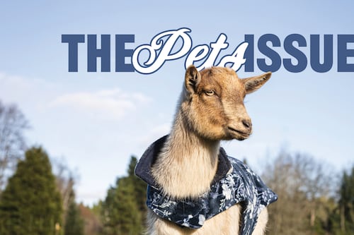 The Pets Issue