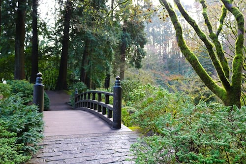Portland Japanese Garden Offers Free Admission Following Border Patrol Shooting