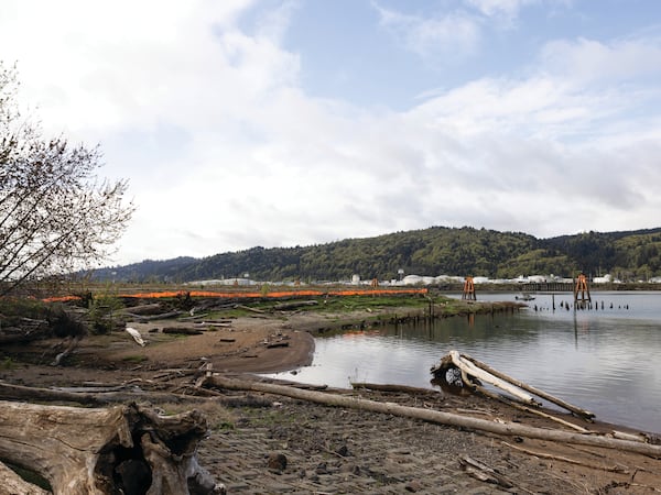 Portland Botanical Gardens Could Grow From Once-Poisoned Land