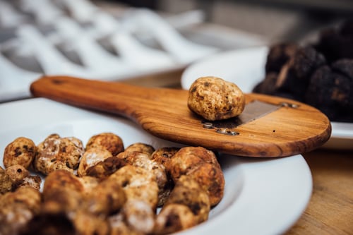 How to Celebrate Oregon Truffle Month