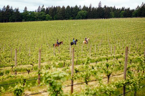 Candidates for Oregon’s New Congressional Seat Agree on One Thing: Anybody but Flynn