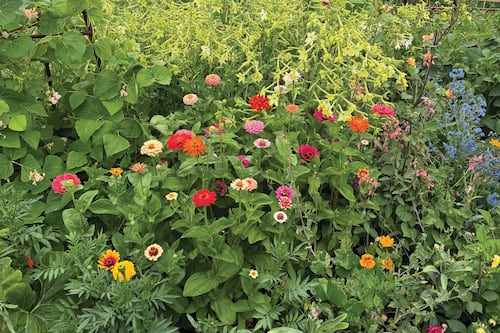 Portland’s Best Urban Flower Farm