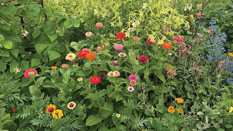 Portland’s Best Urban Flower Farm