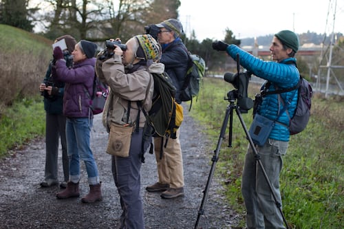 Bird Alliance of Oregon Celebrates 100th Annual Christmas Bird Count