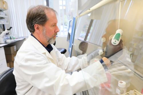 American Adults Could Forgo Tetanus and Diphtheria Boosters, OHSU Scientist Says