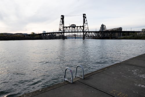 The People Behind the Big Float Are Making Duckworth Beach ‘Toe-Friendly’