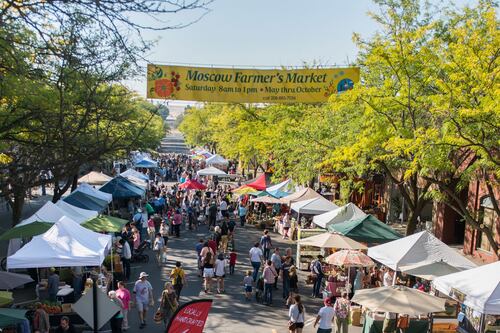 Steal My Vacation: Horsing Around in Moscow, Idaho