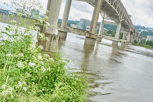 Portland’s Director of Public Utilities Is on Paid Administrative Leave