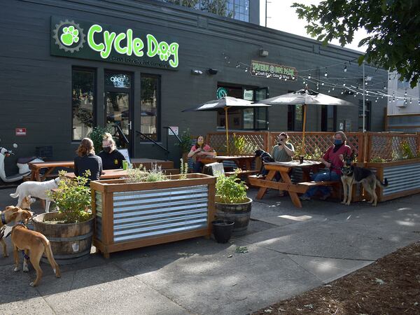 Cycle Dog Tavern