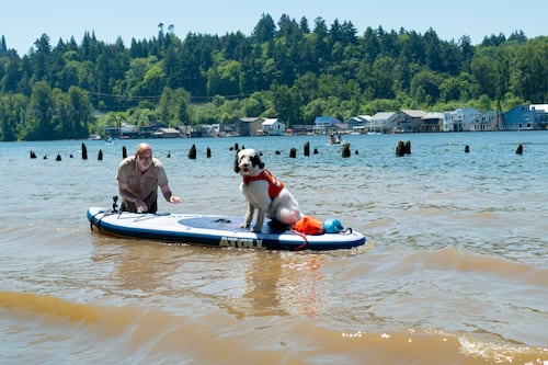 Much of the Willamette River That Runs Through Portland Is Now Toxic to Pets