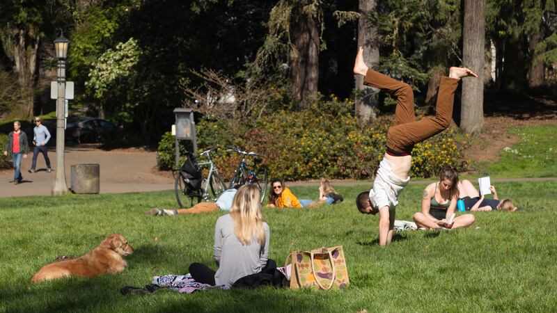 Curbside Serenade Keeps Portlanders Laughing, Dancing, and Singing in Laurelhurst Park