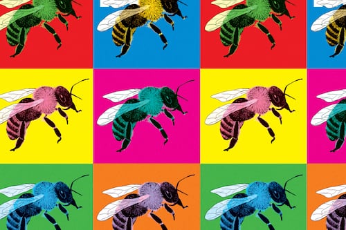 Should Portland Ban Backyard Beekeeping?