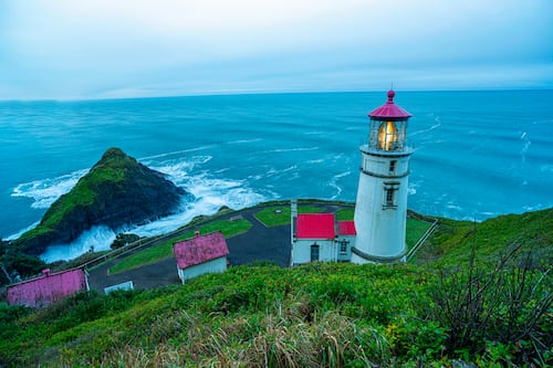 It’s the Most Wonderful Time of the Year: Whale Watching Week