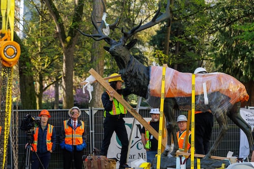 Six Years After Its Removal, the Thompson Elk Is Back