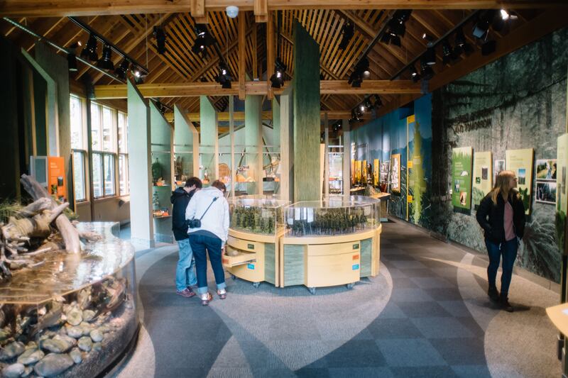 Tillamook Forest Center