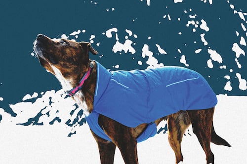 Dress for Success in the Oregon Elements