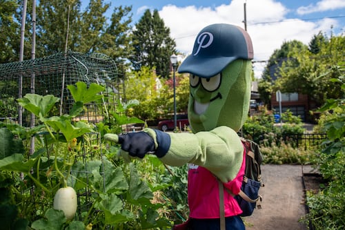 When Will Requirements for Portland Candidates Be Upgraded to Weed Out Unqualified Goofballs?