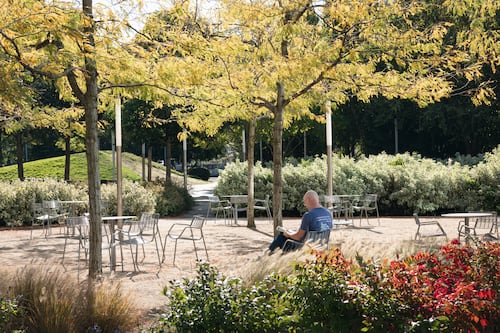 Readers Respond to Our Endorsement of the Portland Parks Levy