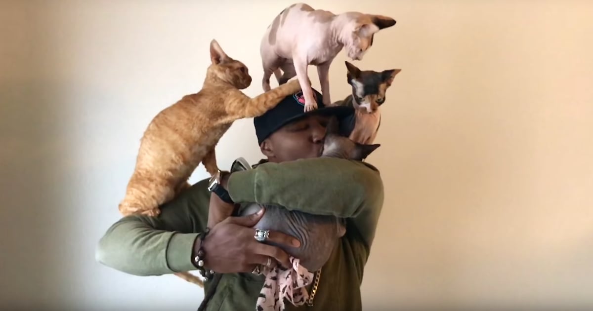 Moshow, Portland’s Cat Rapper, Is the Subject of an Upcoming Netflix ...