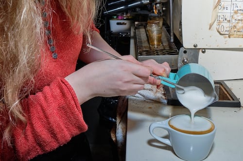 At Fetch Coffee, Dogs Are Just as Important as the Quality of the Beans