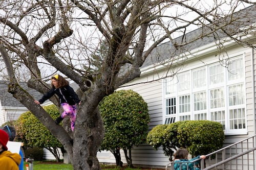 Parent Group Asks PPS for Seismic Bond Spending Plan Amid Rightsizing