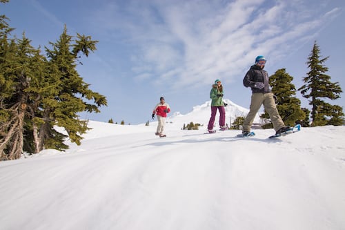 Five Ways to Enjoy Winter on Mt. Hood