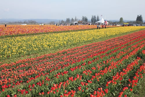 What to Do in Portland (March 25–31, 2026)