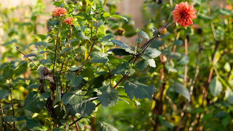 Nine Events for Your Spring Calendar