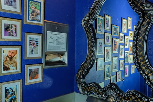 Anyone Who Visits Eris Cocktail Lounge Five Times Gets a Place on the Bathroom Wall for Their Cat