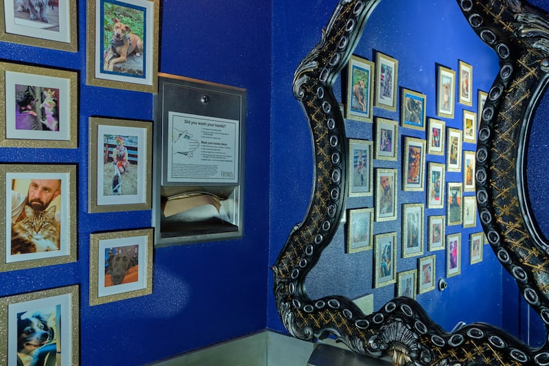 Anyone Who Visits Eris Cocktail Lounge Five Times Gets a Place on the Bathroom Wall for Their Cat