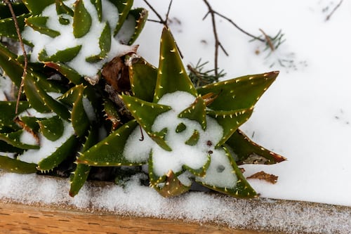 Give!Guide Breaks Records, Raises $8.1 Million for Portland Nonprofits