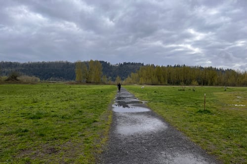 1000 Acres Dog Park Is the Perfect Day Trip—With or Without a Dog