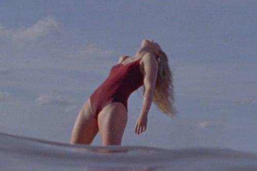 Portland Film Festival Features Documentaries, Indie Darlings and a Major Premiere