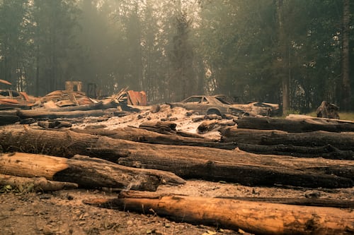 To Save Our Forests From Megafires, George Wuerthner Wants the Forest Service to Leave Oregon’s Woods Alone