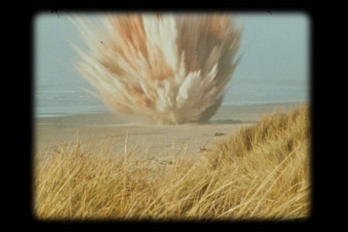 “Oh Whale” Explores Oregon’s Infamous Exploding-Whale Video