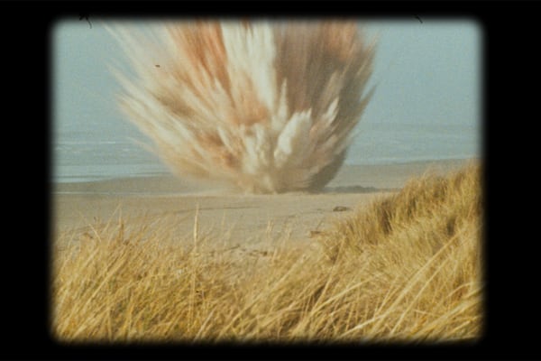 “Oh Whale” Explores Oregon’s Infamous Exploding-Whale Video