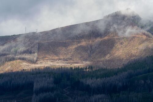 Scientist Who Observed Santiam Canyon Fire Disputes Forestry Department’s Report on Cause
