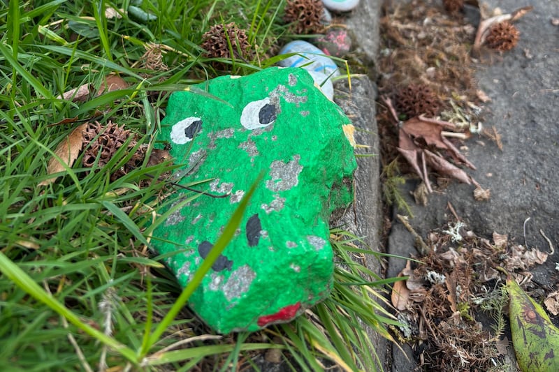 A Whole Neighborhood Feeds a Snake