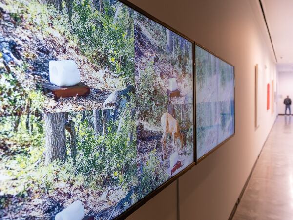Carved Salt Lick Sculptures Form the Backbone of a New Video Installation in the Permanent Collection of the Portland Art Museum